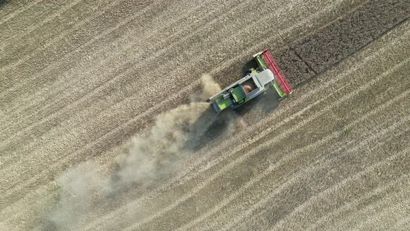 Combine harvester in the field