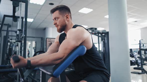 Bearded man pumping his arm muscles in the gym. Athletic bodybuilder training his biceps