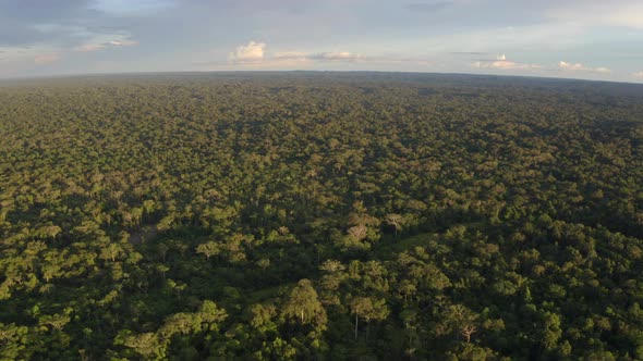 Aerial view of a large tropical forest with patches of deforested rainforest