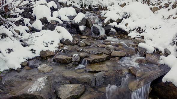 Water Flowing From the Source Made From Wood in Mountainous Forest in Carpathian Mountains Ukraine
