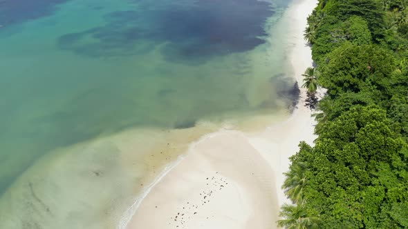 Beach Anse Takamaka, Praslin Island, Seychelles, Indian Ocean, Africa