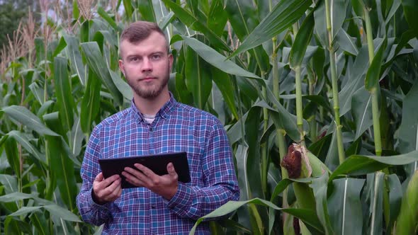 A Plant Specialist with Notebook, Checking the Field Corn a Background of Greenery. Concept Ecology