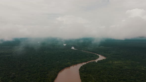 Panoramic View Of Amazon Rainforest With River In Ecuador. Aerial Drone Shot