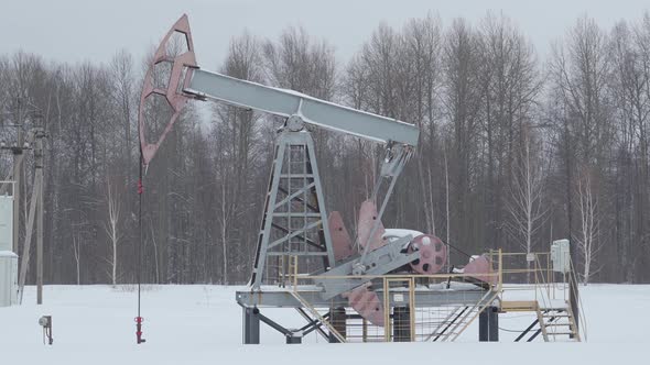 One oil pump works in winter against the background of the forest