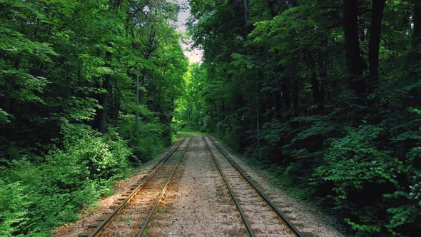 Railway Road Formed In Unique Natural Tunnel In Forest