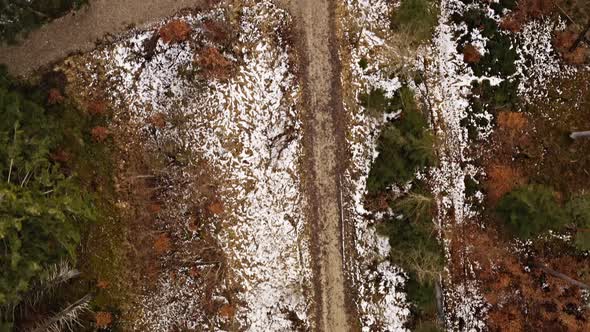 Top down shot over a rural path leading throught a light snowy forest with a look up shot to an idyl