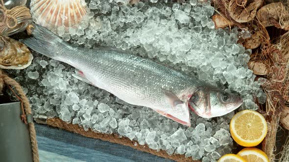 Super Slow Motion Shot of Falling Fresh Sea Bass Fish Into Crushed Ice at 1000 Fps.