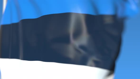 Flying National Flag of Estonia