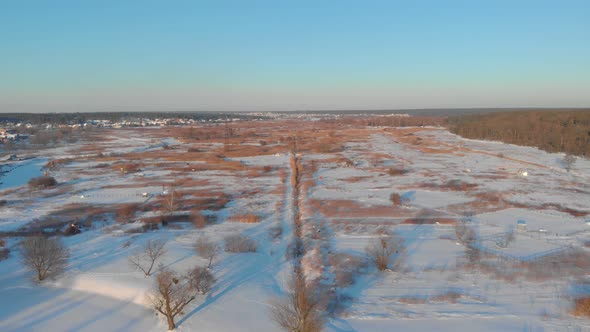 Winter Field In The Snow