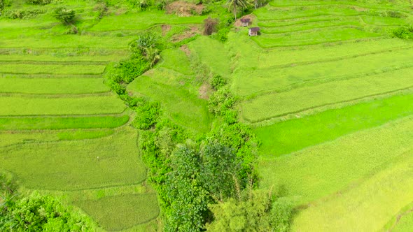 Rice Terrace in Cordillera Mountains, Luzon, Philippines