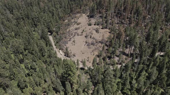 Sequoia National Park 