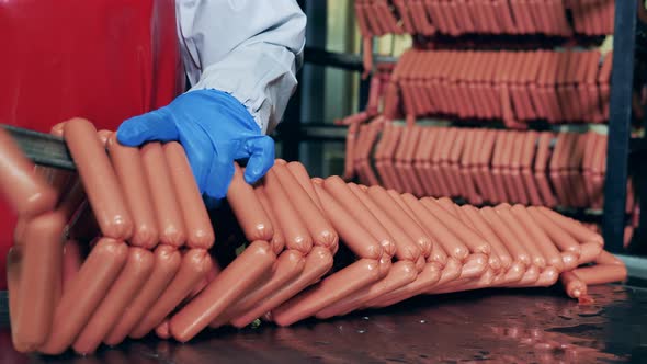 Plant Worker Is Putting Together Fresh Sausages