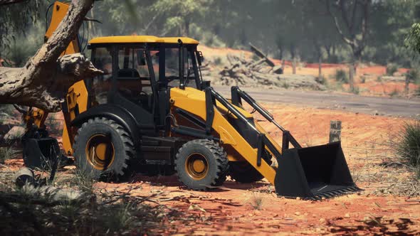 Excavator Tractor in Bush Forest