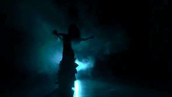 Talanted Exotic Belly Dancer Woman, Shaking Her Hips, on Black, Slow Motion, Silhouette, Smoke