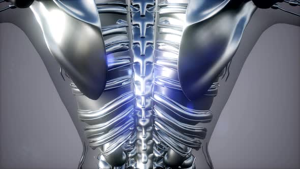 Anatomy Tomography Scan of Human Body alt