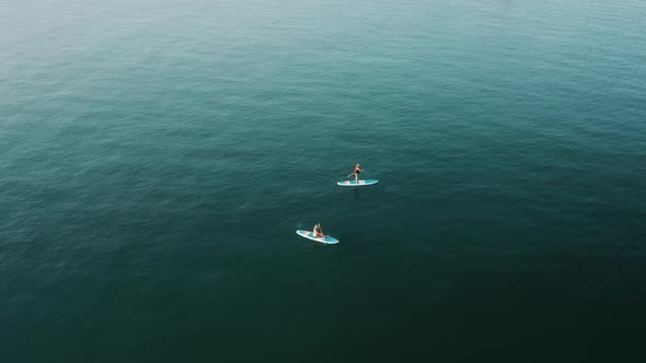 People Paddling on Paddle Boards Within Clear Blue Sea