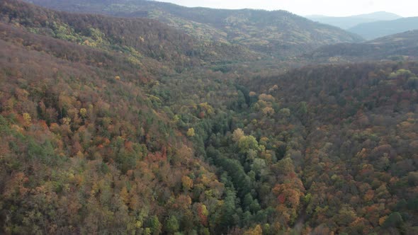 Colorful Autumn View of the Caucasus Mountains