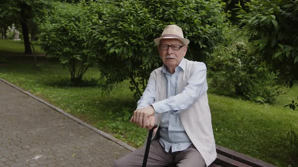 Old Grayhaired Man Sitting on a Bench in the Park
