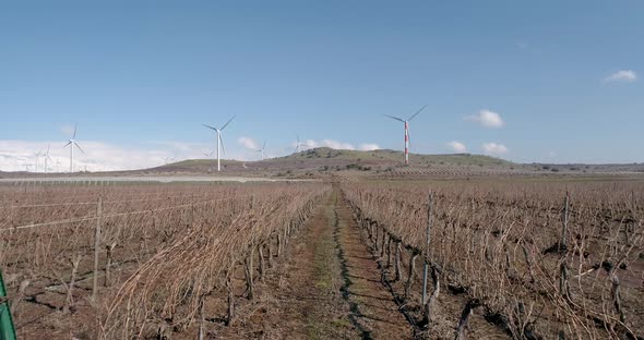 Aerial view of wind turbine farm near a vineyard, Golan Heights, Israel.