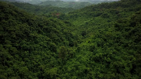 Aerial View of Lush Green Rain Forest Mountain 30