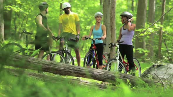 Four cyclists in forest