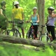 Four cyclists in forest - VideoHive Item for Sale
