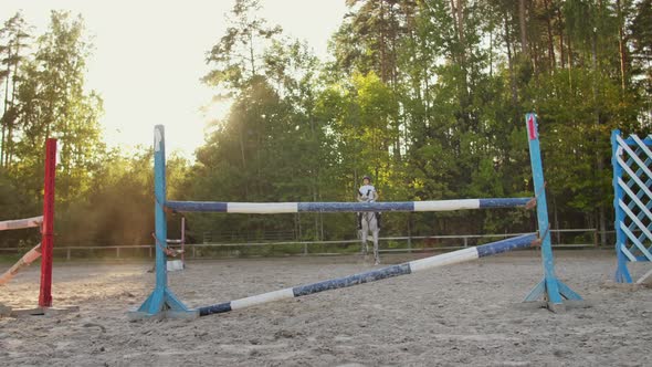 Show Jumping in the Horse Club