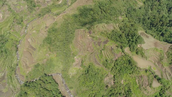 Rice Terraces in the Mountains. Philippines, Batad, Banaue