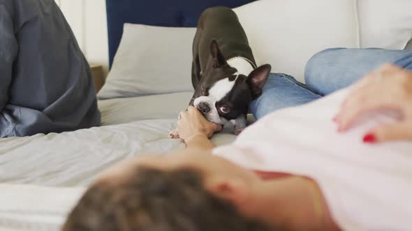 Caucasian couple playing with dog with a ball at home