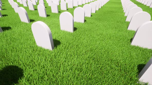 American Grave Green Grass on Green Background