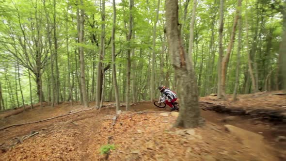 Tracking shot of a man mountain biking in a forest.