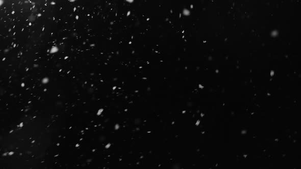 Falling Snow Isolated on Black Background