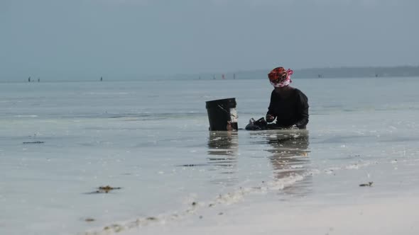 African Woman Collects Seafood Into Bucket Sitting in Water at Ocean