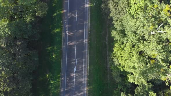 Flying along the road between threes with driving vehicles