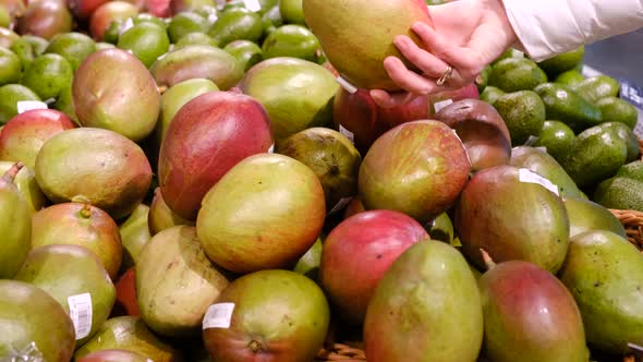 Fresh Mango Fruit in the Supermarket Fresh Organic Mango