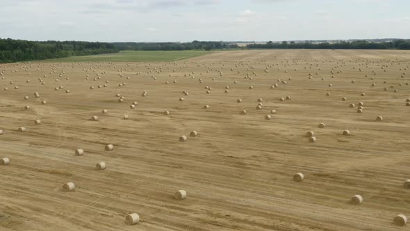 Rolls of Haystacks on the Field. Landscape with Twisted Haystacks in the Field. Agriculture Concept