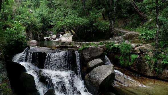 Nature Landscape Waterfall Jungle Forest Water