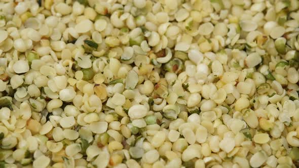 Organic hemp seeds macro, rotation. Superfood hemp seeds