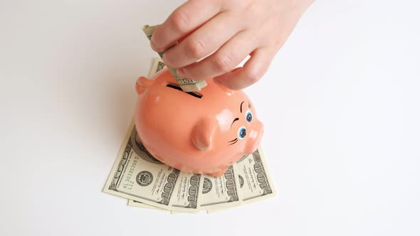 Woman Forefinger Inserts Dollar Banknote Into Piggy Bank