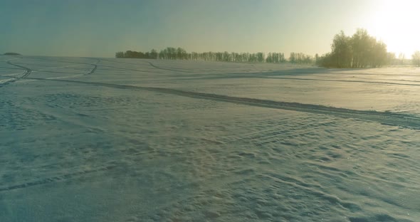 Aerial Drone View of Cold Winter Landscape with Arctic Field Trees Covered with Frost Snow and