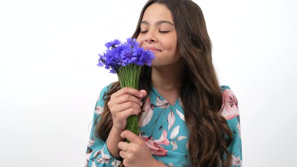 Portrait of Happy Child Smell Centaurea Wildflower Flower Bouquet Selective Focus 8 March