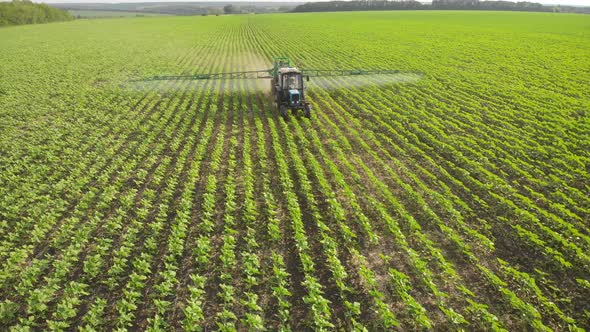 Aerial View of Farming Tractor Spraying on Field with Sprayer Herbicides and Pesticides at Sunset