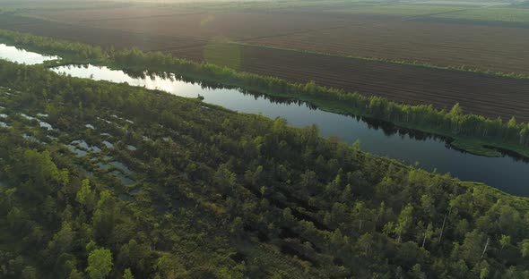 Aerial View of Bog Forest with Lake and Transition Line To Peat Harvesting Field