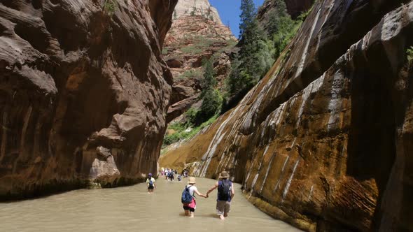 River in the Canyon