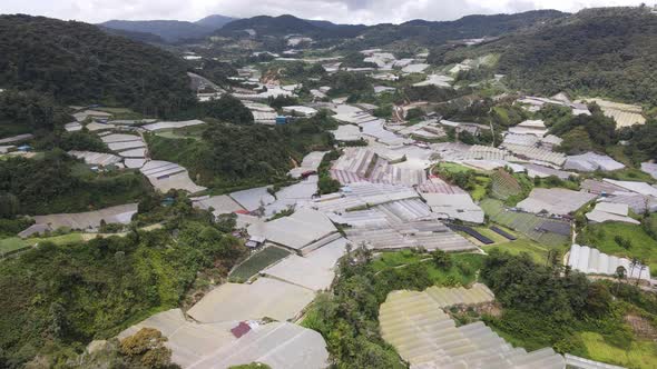 Cameron Highlands, Pahang Malaysia