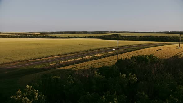 Top View Aerial Shot of Green Field with Grass and Trees. Grain-field and Wood Aerial Shoot