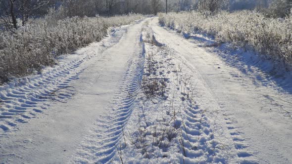 Snow Covered Forest Country Road on Winter Sunny Day