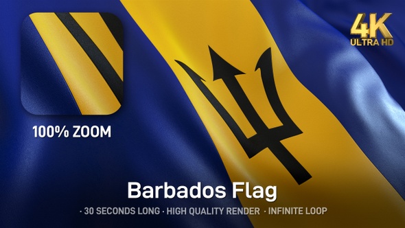 Barbados Flag - 4K