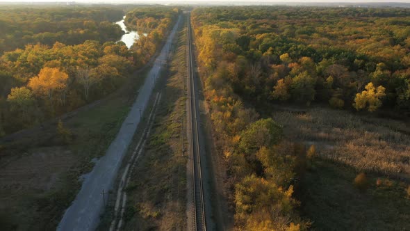 Railway Through The Autumn Forest 