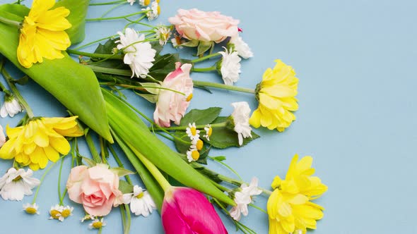 Young Spring Multicolored Bouquet of Beautiful Flowers Lie on a Pastel Blue Background